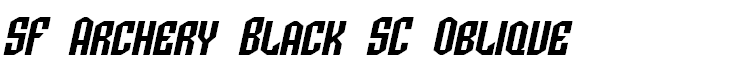 SF Archery Black SC Oblique