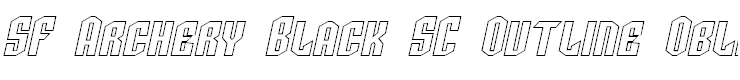 SF Archery Black SC Outline Oblique