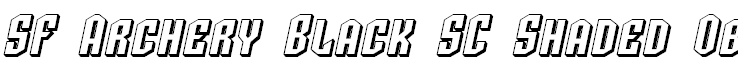 SF Archery Black SC Shaded Oblique