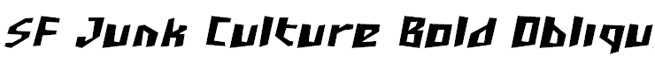 SF Junk Culture Bold Oblique